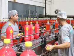 Mercado de trabalho formal em MS fecha 2024 com saldo positivo de 12,4 mil vagas