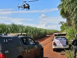 Veículo carregado com produtos ilegais é apreendido em mata em Maracaju