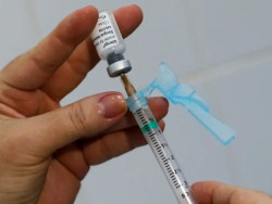 Brasil encerra janeiro com mais de 180 mil casos de dengue e 38 mortes