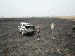 MP vai investigar queimadas identificadas pelo Programa Pantanal em Alerta