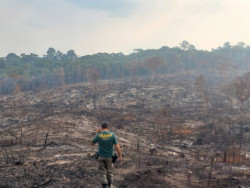 BNDES corta crédito rural no valor de R$ 728 milhões a desmatadores ilegais