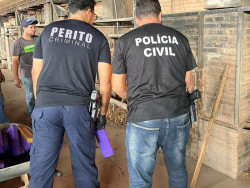 Polícia Civil incinera 550 quilos de drogas em cidade de MS