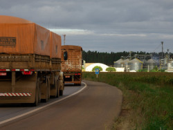 CNA acredita em redução de custos logísticos e início da Ferrogrão em 2025