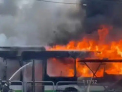 Avião que caiu em SP mata 2 pessoas e deixa outras 6 feridas