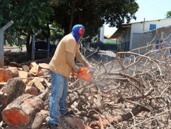 Trechos da Hayel Bon Faker serão interditados neste sábado para corte de árvores