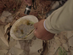 Mato Grosso do Sul registra 554 casos confirmados de dengue, aponta boletim