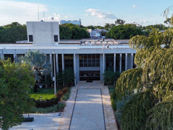 Emissão gratuita de certidões negativas pelo TJMS facilita acesso aos serviços