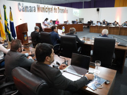 Câmara de Dourados cria Comissão de Proteção e Defesa dos Animais