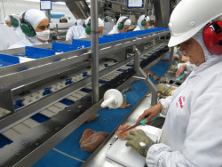 Abate de bovinos, suínos e frangos cresce no 4º trimestre de 2024