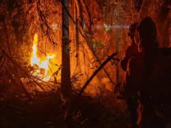 Combate a incêndios no Brasil não será afetado por decisão dos EUA, diz Ibama