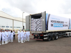 Corredor bioceânico poderá impulsionar exportação de carne em MS