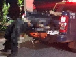 Traficantes morrem em confronto com o DOF na fronteira de MS com o Paraguai