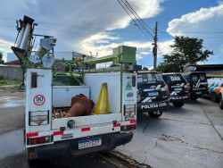 Dois são presos em operação contra 'gatos' de energia em MS