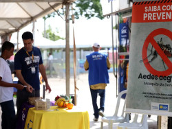 Casos de dengue no Brasil caem 60% nas primeiras semanas do ano