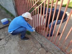 CCZ inicia campanha de vacinação antirrábica em Dourados