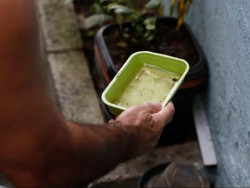 Saúde regsitra novas casos de dengue e total chega a 673 em MS