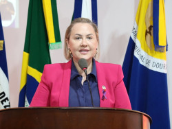 Liandra pede a pavimentação asfáltica no Jardim Pelicano
