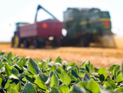 Agronegócio deve puxar a economia e fazer PIB crescer 2,3%, diz Fazenda