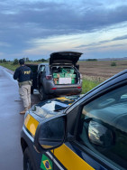 PRF encerra operação de combate ao crime na região de fronteira