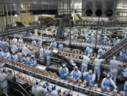 Rendimento anual atinge recorde e trabalhador de MS tem 8º melhor salário do país