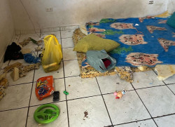 Acusado de maus-tratos e cárcere privado contra a família é preso pela Deam