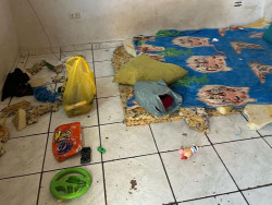 Acusado de maus-tratos e cárcere privado contra a família é preso pela Deam