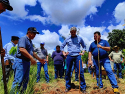 MS inova ao inserir a agricultura familiar no mercado de crédito de carbono
