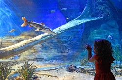 Bioparque divulga horário de Carnaval; local contará com apresentações musicais