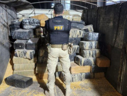 Carreta com milho a granel abordada na BR-163 levava 3,3 toneladas de maconha