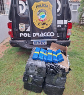 Dracco apreende 150 quilos de maconha em Campo Grande