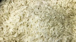 Exportações de arroz devem crescer nos próximos anos, projeta diretora da CNA