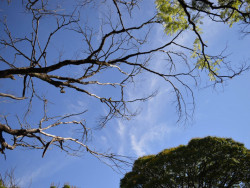 Quinta-feira de sol com algumas nuvens e máxima chega aos 31ºC em Dourados