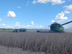 Soja: mais de 28% da área estimada já foi colhida em Mato Grosso do Sul