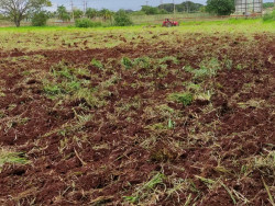 Prefeitura apoia produtores da agricultura familiar no cultivo de hortaliças
