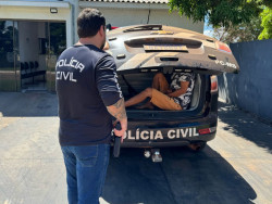 Homem é preso após ameaçar primas com enxada em Juti