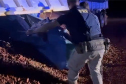 Carreta bitrem com carga de minério de ferro levava quase 400 quilos de cocaína