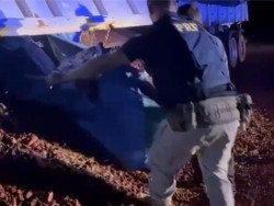 Carreta bitrem com carga de minério de ferro levava quase 400 quilos de cocaína