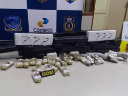 Encomenda de supermaconha em caixas de erva de tereré é interceptada nos Correios