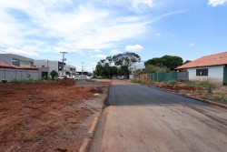 Prefeitura recupera asfalto danificado por queda de seringueira