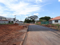 Prefeitura recupera asfalto danificado por queda de seringueira