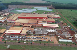 Fomento à suinocultura viabiliza investimento de R$ 400 mi para ampliar indústria