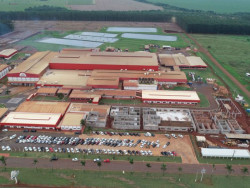 Fomento à suinocultura viabiliza investimento de R$ 400 mi para ampliar indústria
