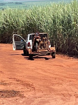 Homem é preso acusado de maus-tratos a animais e caça ilegal