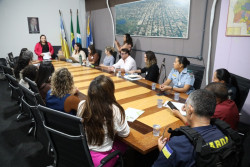 Câmara intervém por reforço na rede de proteção à mulher vítima de violência