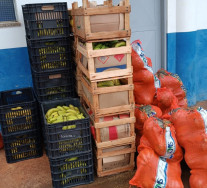 Entidades recebem 2 mil quilos de alimentos distribuídos pela prefeitura