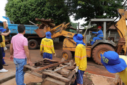 Prefeitura finaliza mutirão e CCZ alerta que limpeza afasta escorpiões e doenças