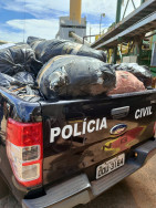 Polícia Civil incinera 730 quilos de drogas em Três Lagoas