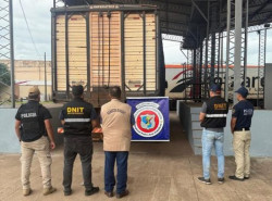 Caminhão com mulas contrabandeadas do Brasil é apreendido na fronteira