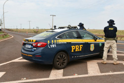 Caminhão é apreendido com 3,5 toneladas de agrotóxicos do Paraguai