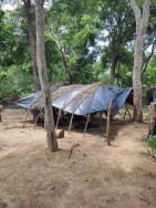 Trabalhadores são resgatados em condições análogas à escravidão em fazenda de MS